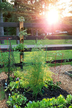 Vertical Bamboo Planter 3 planter