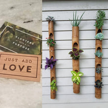 Vertical Bamboo Planter 3 planter